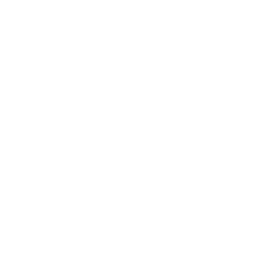 ticket